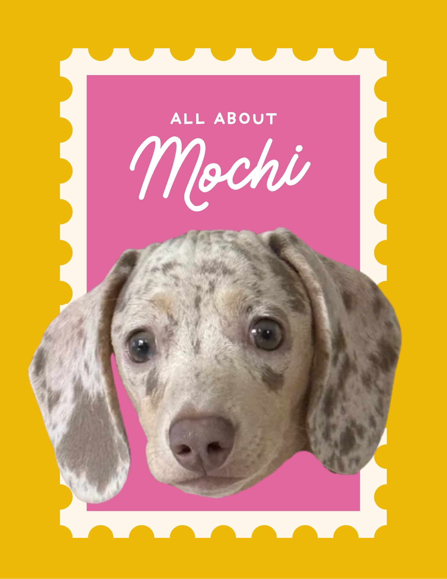 All About Mochi stamp-style graphic with a puppy portrait